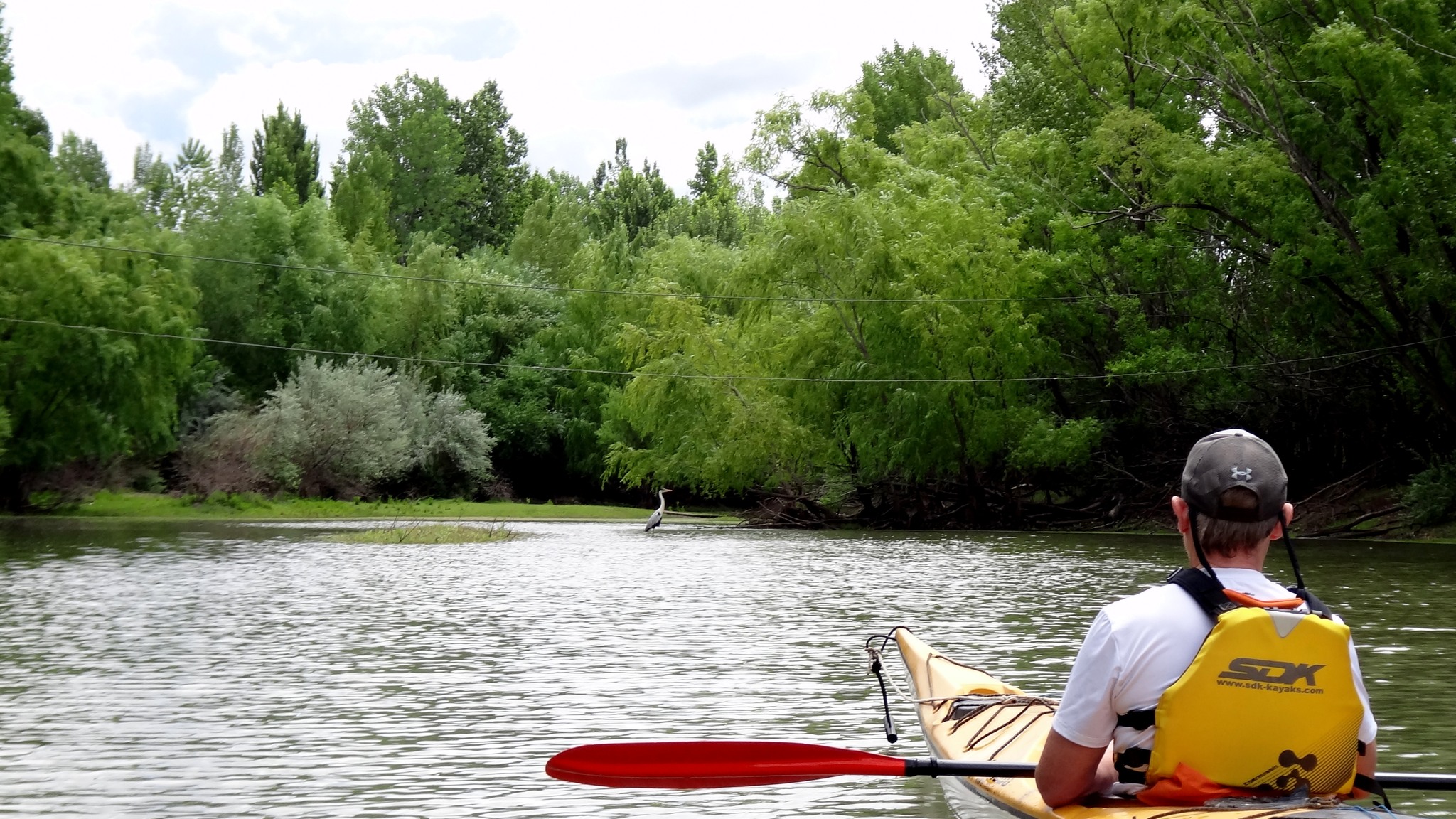 Aventura en la naturaleza