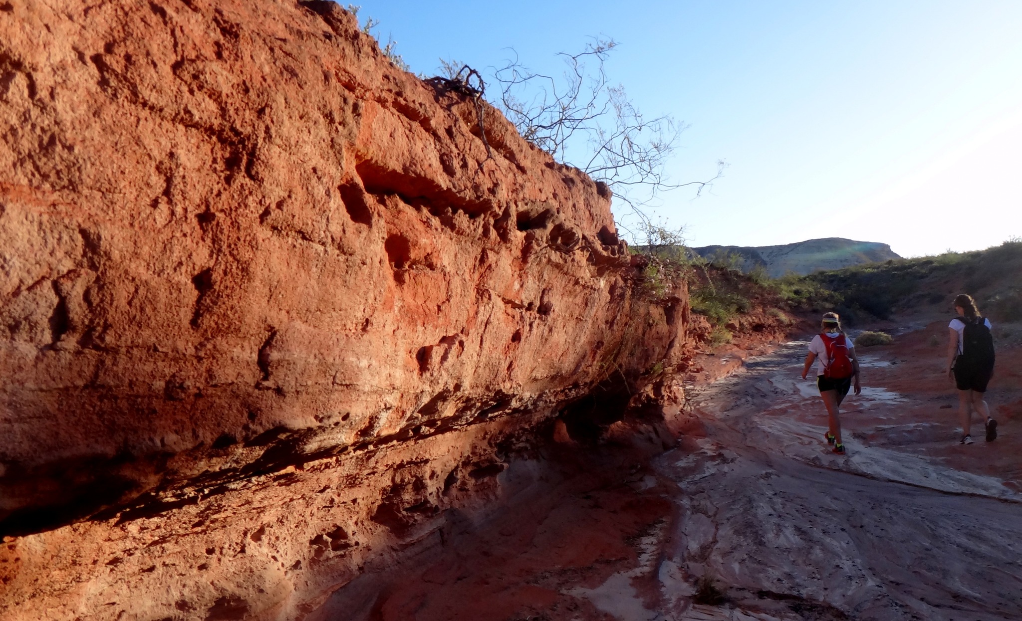 Excursión por senderos naturales