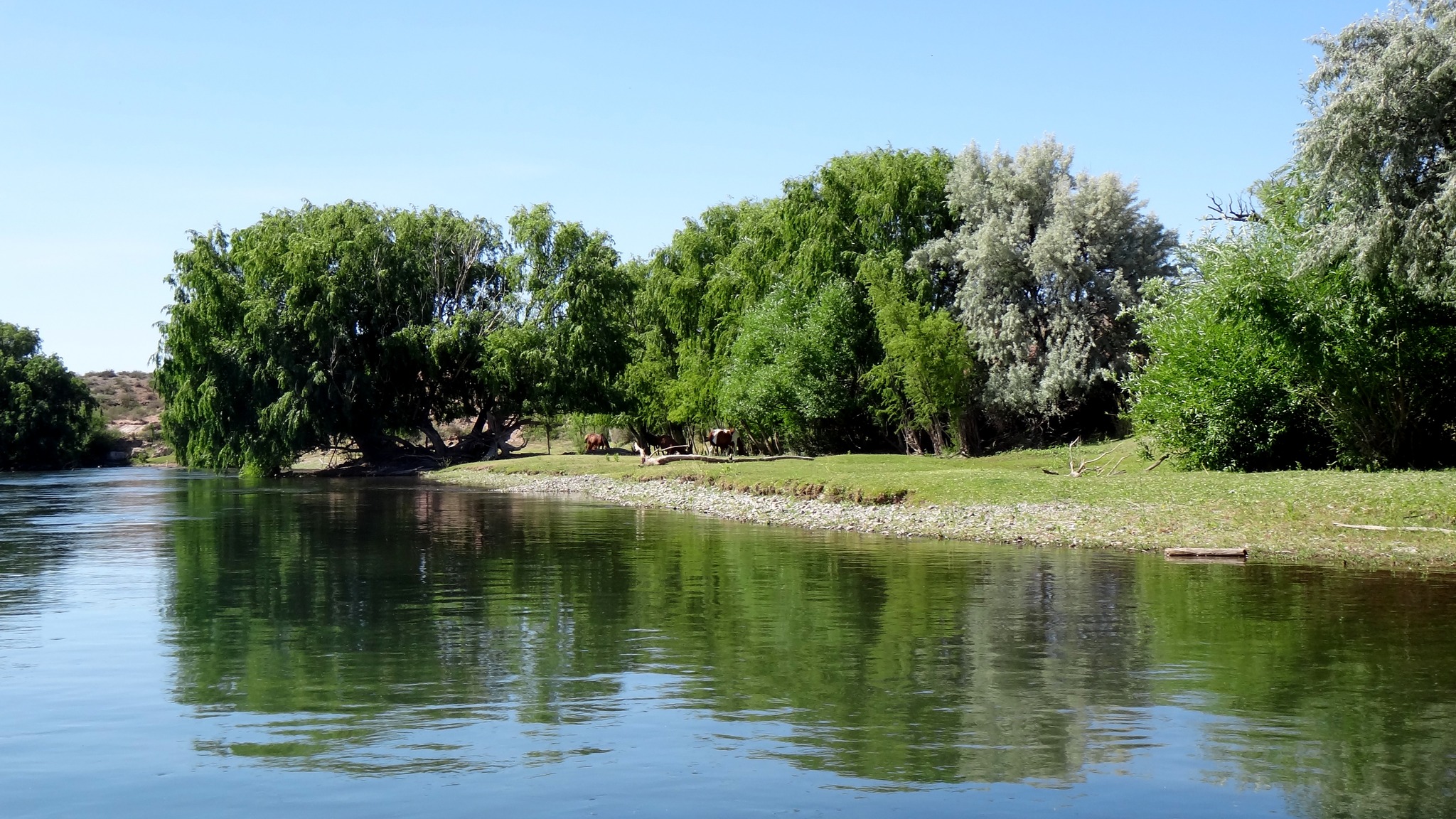 Aventura en la naturaleza
