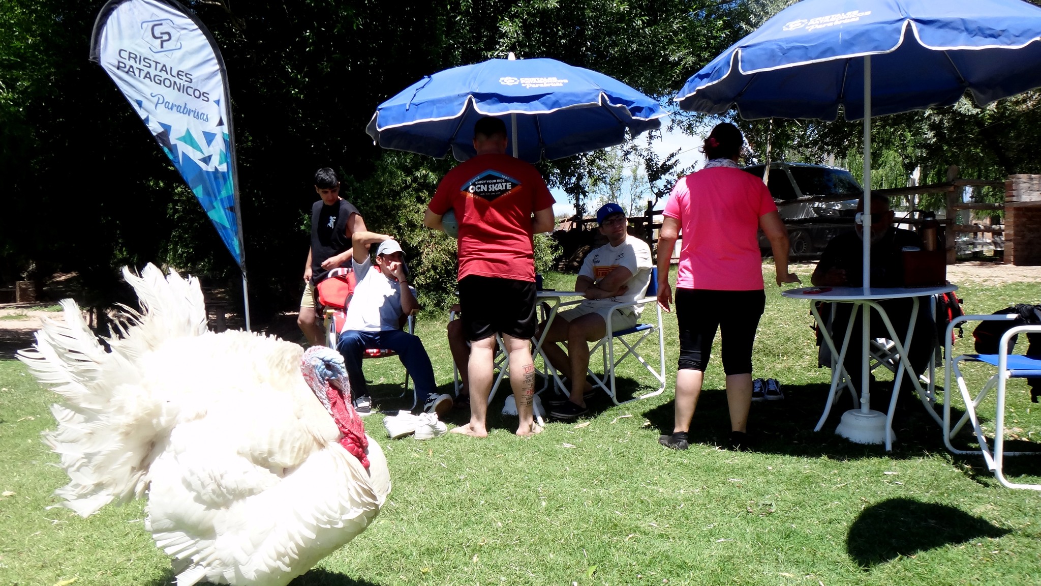 Senderismo panorámico